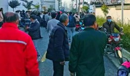 滑县一高最新爆料事件,校园事件引发社会关注