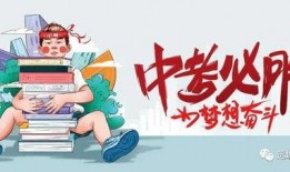 玛莎最新返场消息爆料视频,玛莎惊喜返场！最新爆料视频揭秘精彩瞬间